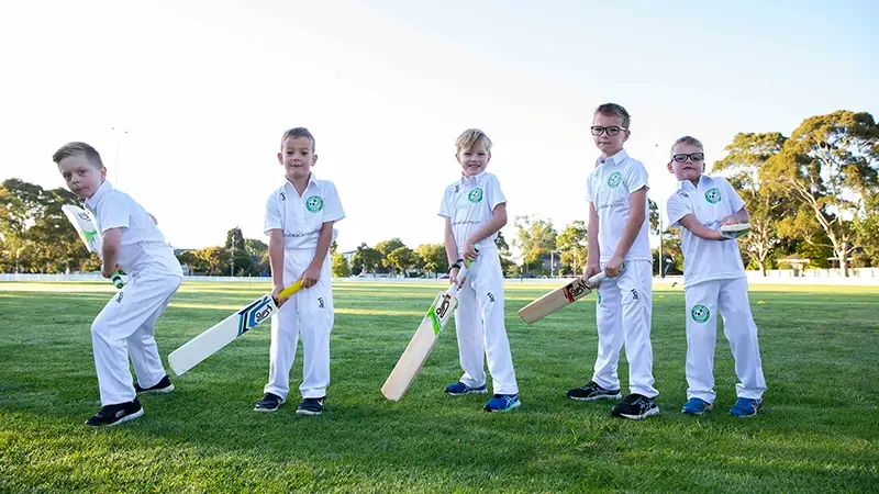 Cricket Star Academy franchise business for sale in Tyabb, VIC 3913